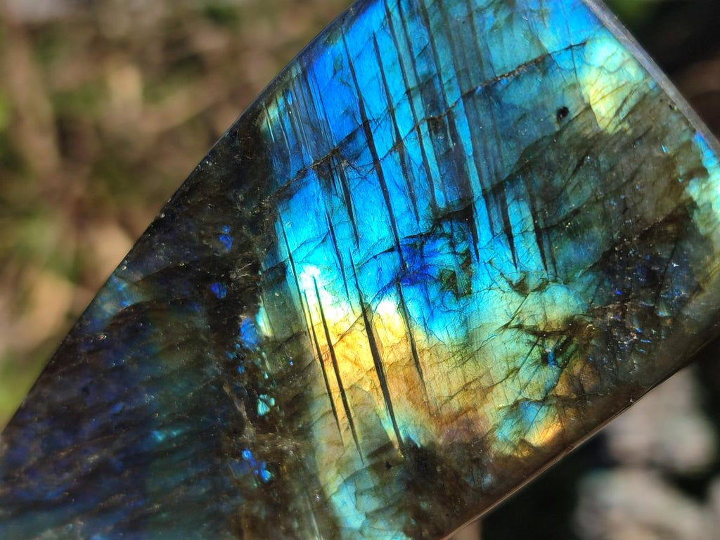 Polished Labradorite Standing Display Pieces x 3 From Madagascar - Toprock Gemstones and Minerals 