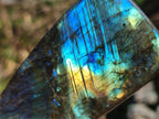 Polished Labradorite Standing Display Pieces x 3 From Madagascar - Toprock Gemstones and Minerals 