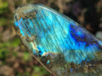 Polished Labradorite Standing Display Pieces x 3 From Madagascar - Toprock Gemstones and Minerals 