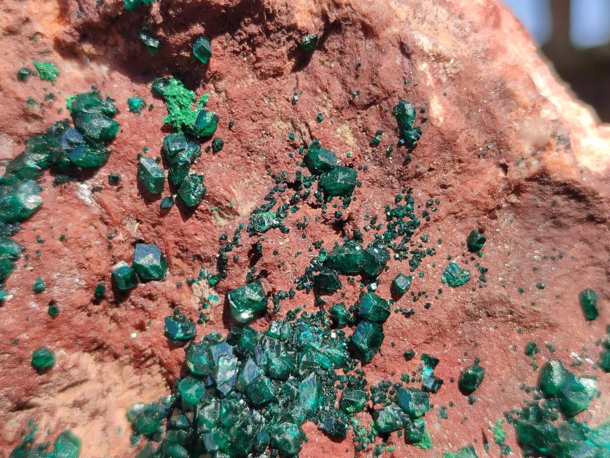 Natural Large Dioptase on Dolomite Specimen x 1 From Mashamba East Mine, Congo - Toprock Gemstones and Minerals 