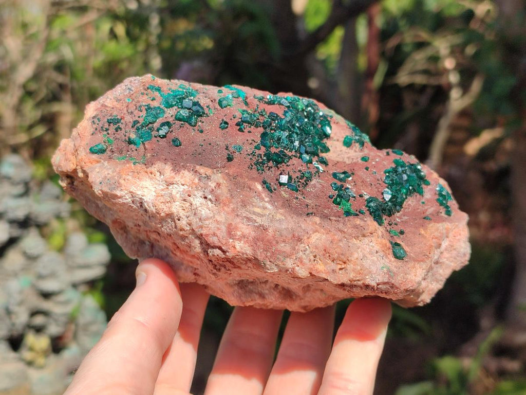 Natural Large Dioptase on Dolomite Specimen x 1 From Mashamba East Mine, Congo - Toprock Gemstones and Minerals 