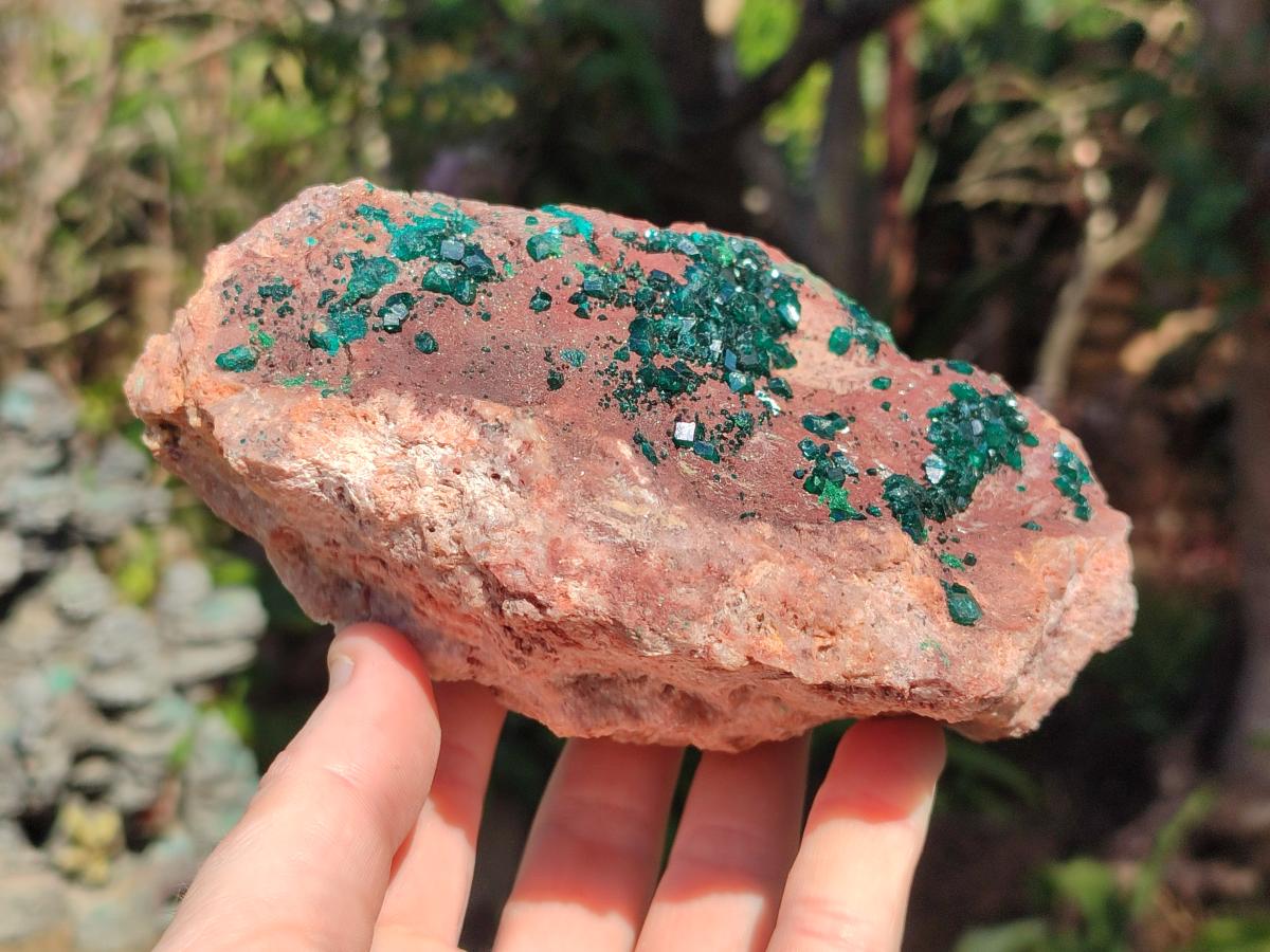 Natural Large Dioptase on Dolomite Specimen x 1 From Mashamba East Mine, Congo - Toprock Gemstones and Minerals 