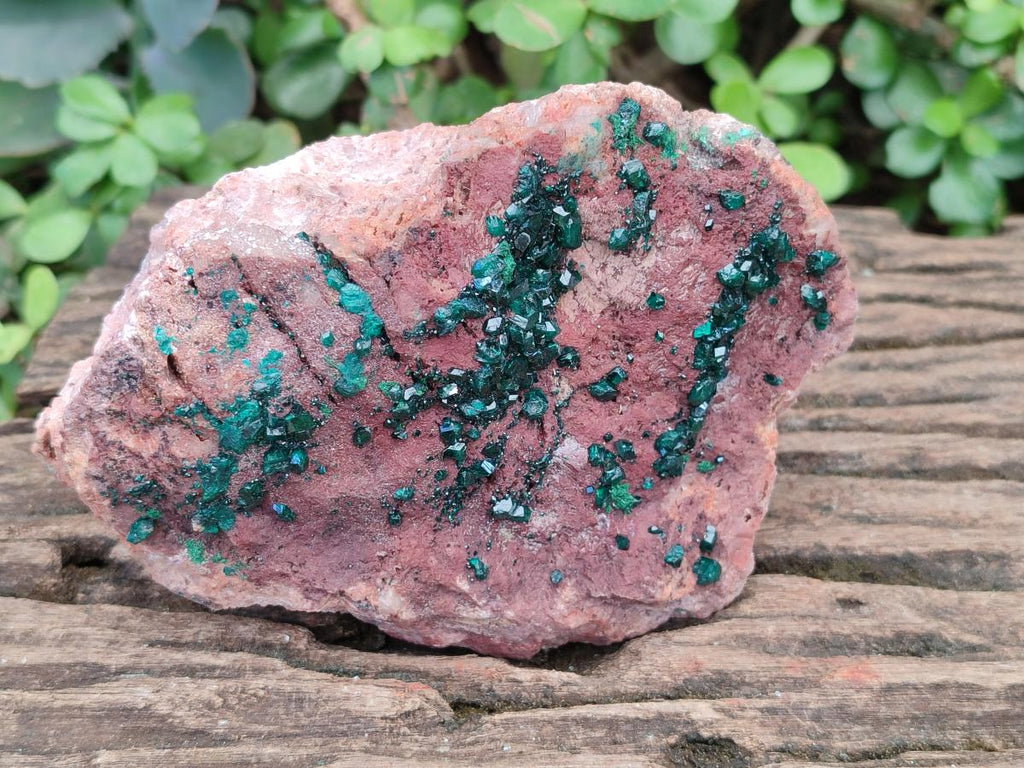 Natural Large Dioptase on Dolomite Specimen x 1 From Mashamba East Mine, Congo - Toprock Gemstones and Minerals 