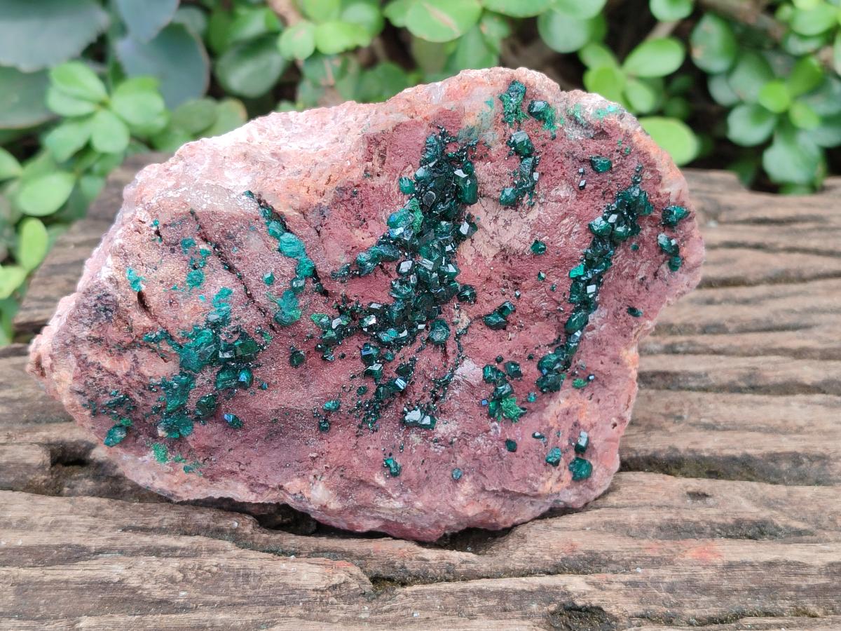 Natural Large Dioptase on Dolomite Specimen x 1 From Mashamba East Mine, Congo - Toprock Gemstones and Minerals 