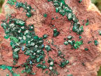 Natural Large Dioptase on Dolomite Specimen x 1 From Mashamba East Mine, Congo - Toprock Gemstones and Minerals 