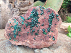 Natural Large Dioptase on Dolomite Specimen x 1 From Mashamba East Mine, Congo - Toprock Gemstones and Minerals 