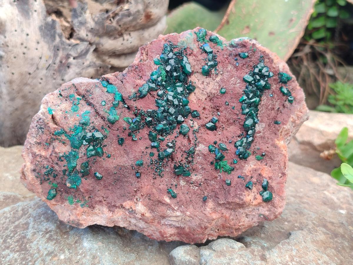 Natural Large Dioptase on Dolomite Specimen x 1 From Mashamba East Mine, Congo - Toprock Gemstones and Minerals 