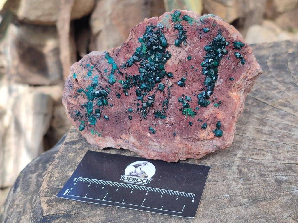 Natural Large Dioptase on Dolomite Specimen x 1 From Mashamba East Mine, Congo - Toprock Gemstones and Minerals 