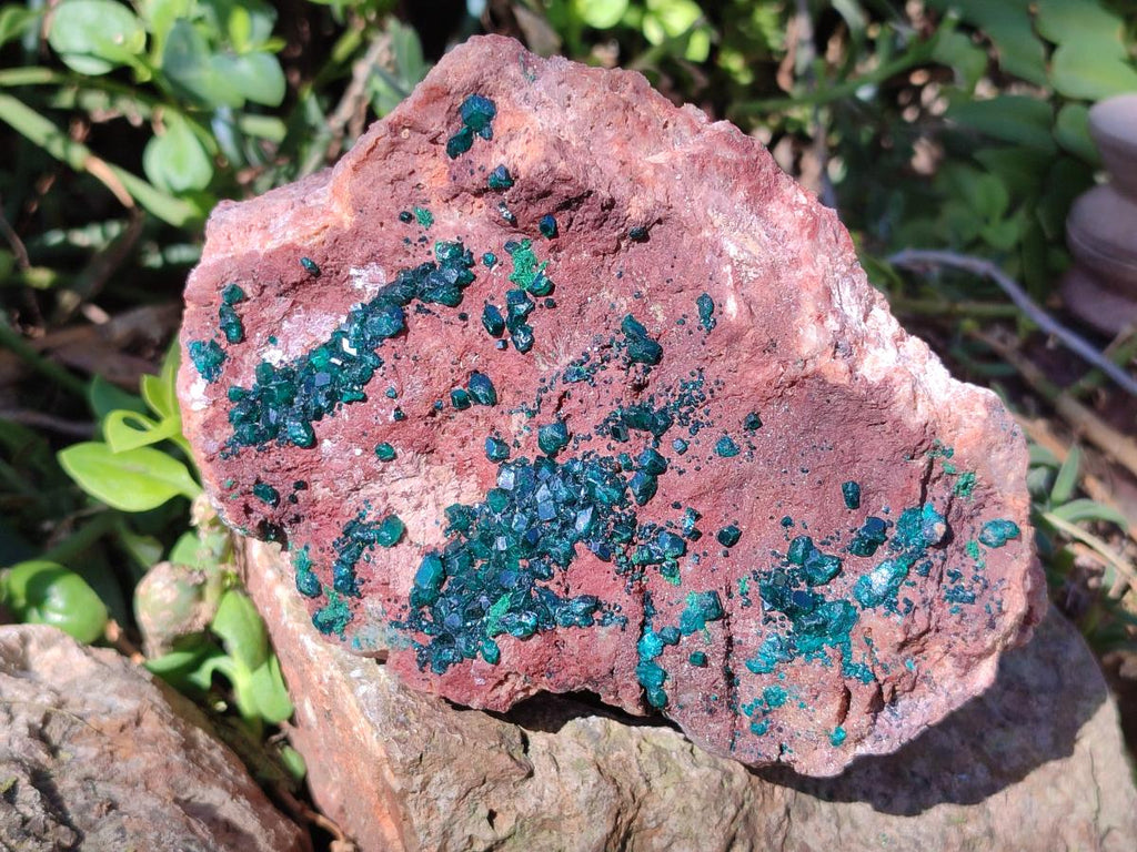 Natural Large Dioptase on Dolomite Specimen x 1 From Mashamba East Mine, Congo - Toprock Gemstones and Minerals 