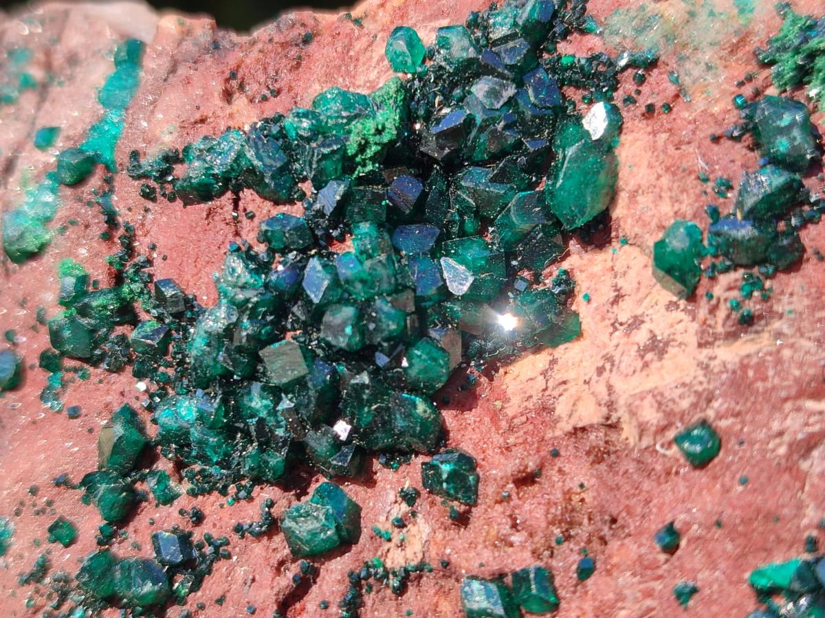 Natural Large Dioptase on Dolomite Specimen x 1 From Mashamba East Mine, Congo - Toprock Gemstones and Minerals 