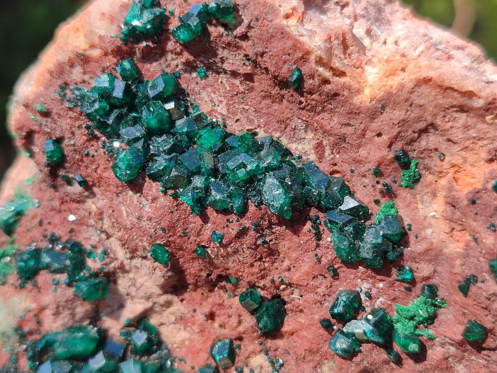 Natural Large Dioptase on Dolomite Specimen x 1 From Mashamba East Mine, Congo - Toprock Gemstones and Minerals 