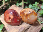 Polished Carnelian Agate Gemstone Galets x 20 From Madagascar - Toprock Gemstones and Minerals 