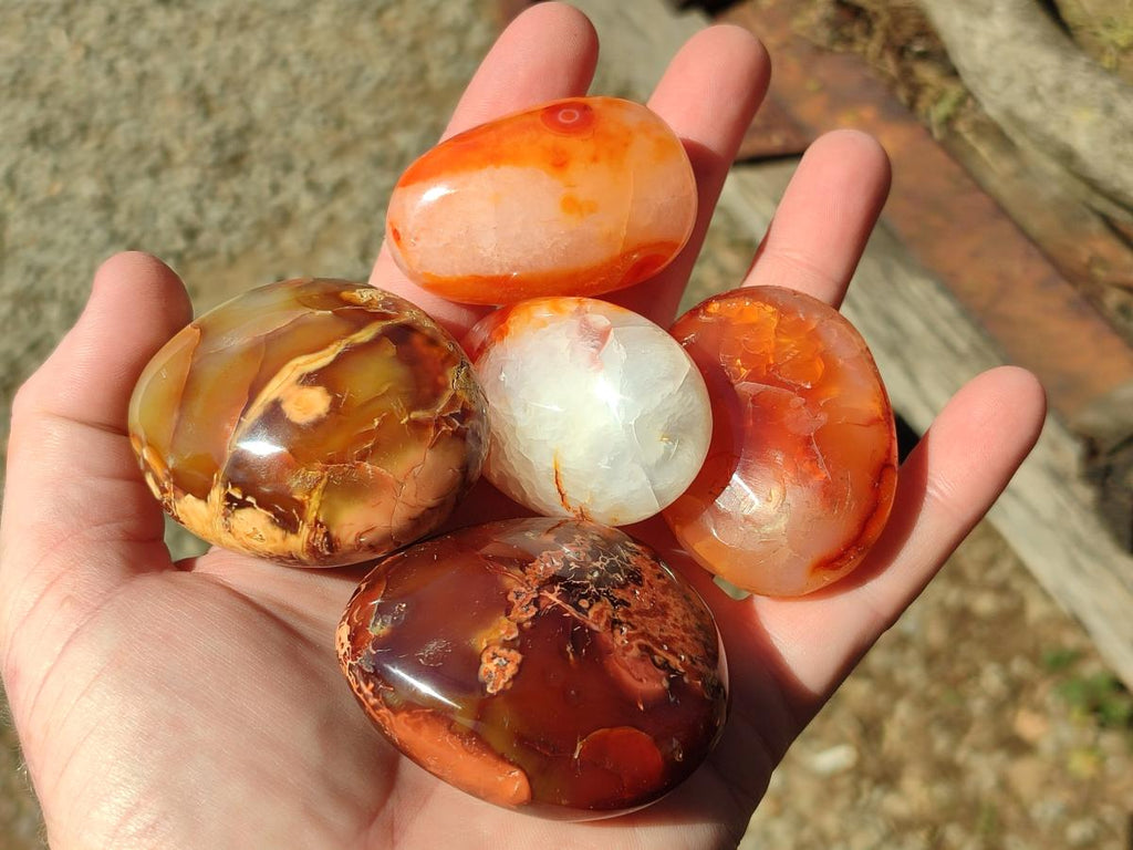 Polished Carnelian Agate Gemstone Galets x 20 From Madagascar - Toprock Gemstones and Minerals 