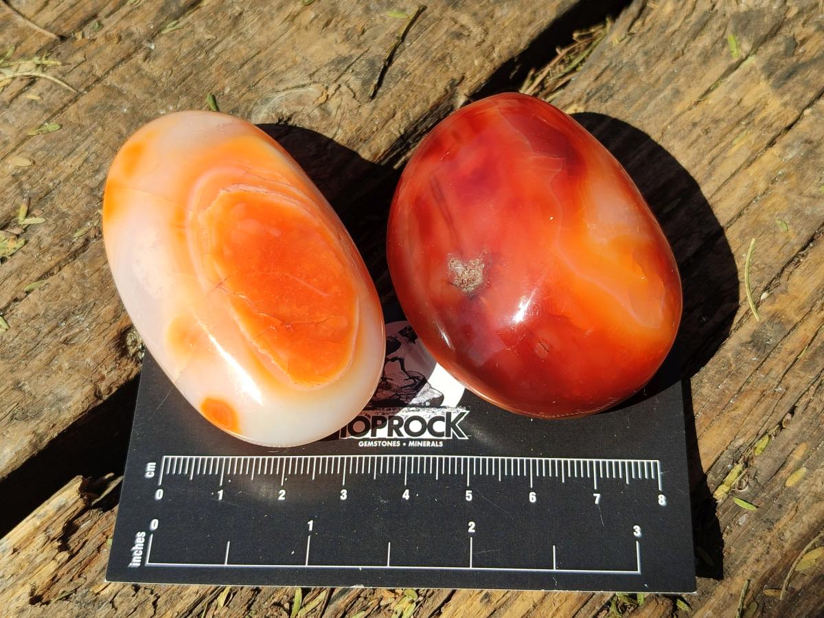 Polished Carnelian Agate Gemstone Galets x 20 From Madagascar - Toprock Gemstones and Minerals 