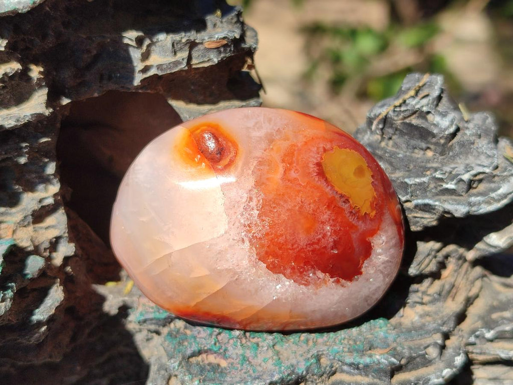 Polished Carnelian Agate Gemstone Galets x 20 From Madagascar - Toprock Gemstones and Minerals 