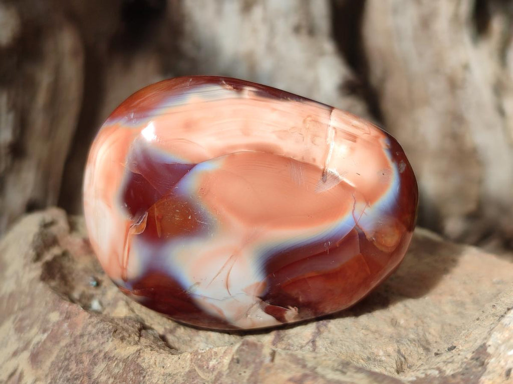 Polished Carnelian Agate Gemstone Galets x 20 From Madagascar - Toprock Gemstones and Minerals 