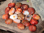 Polished Carnelian Agate Gemstone Galets x 20 From Madagascar - Toprock Gemstones and Minerals 