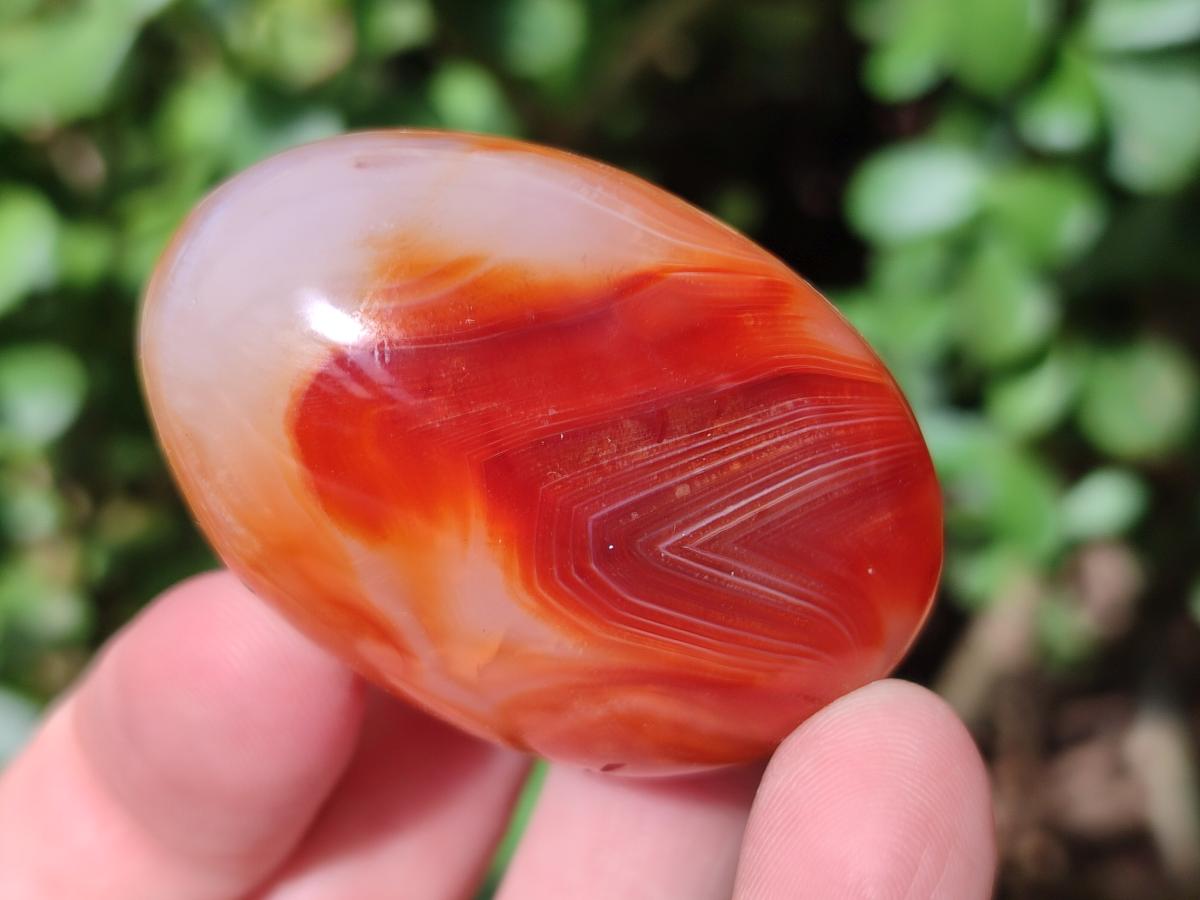 Polished Carnelian Agate Gemstone Galets x 20 From Madagascar - Toprock Gemstones and Minerals 