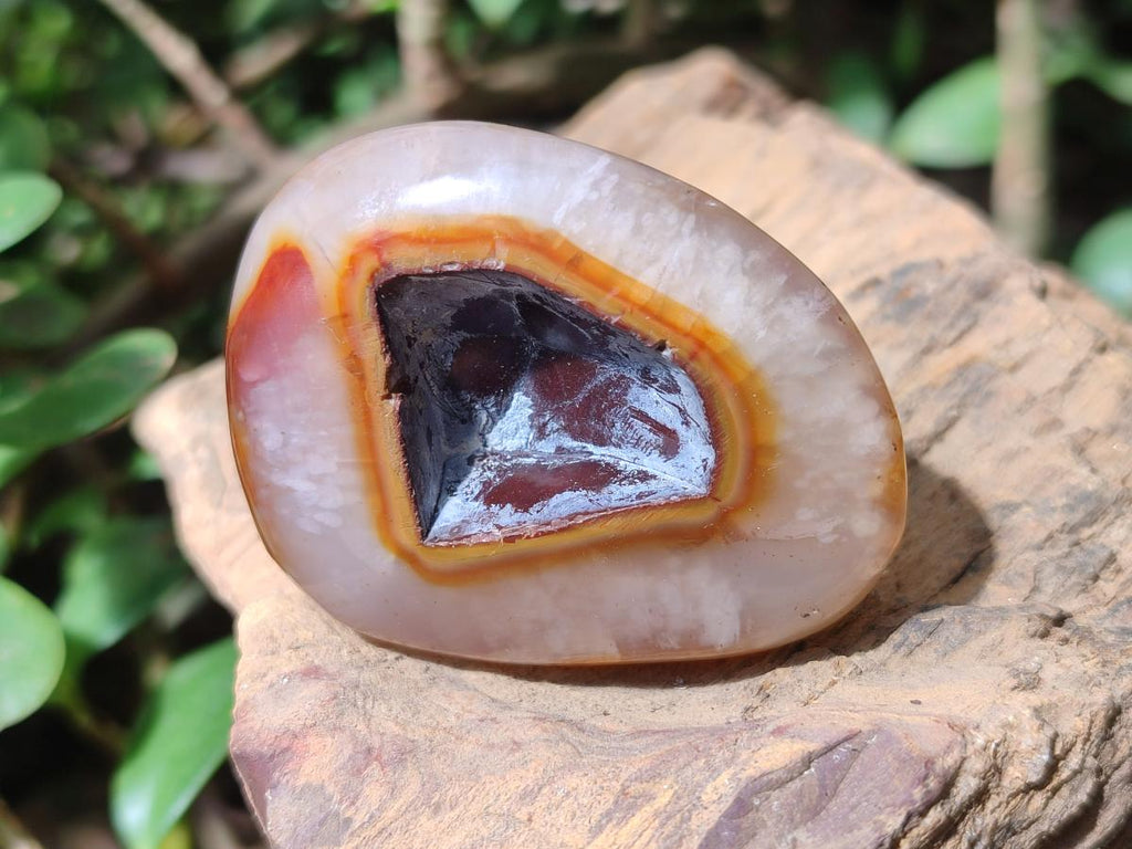 Polished Carnelian Agate Gemstone Galets x 20 From Madagascar - Toprock Gemstones and Minerals 