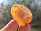 Polished Carnelian Agate Gemstone Galets x 20 From Madagascar - Toprock Gemstones and Minerals 