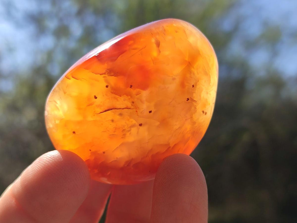 Polished Carnelian Agate Gemstone Galets x 20 From Madagascar - Toprock Gemstones and Minerals 