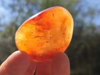 Polished Carnelian Agate Gemstone Galets x 20 From Madagascar - Toprock Gemstones and Minerals 