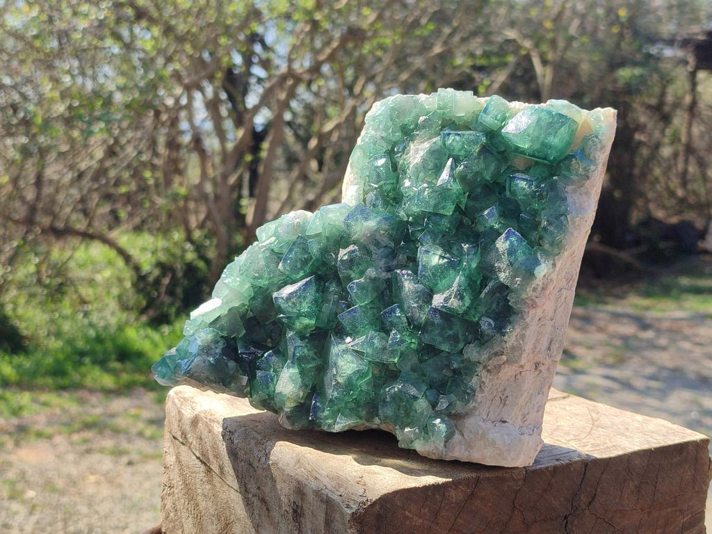 Natural Large Green Cubic Fluorite Specimen x 1 From Mandrosonoro, Madagascar - Toprock Gemstones and Minerals 