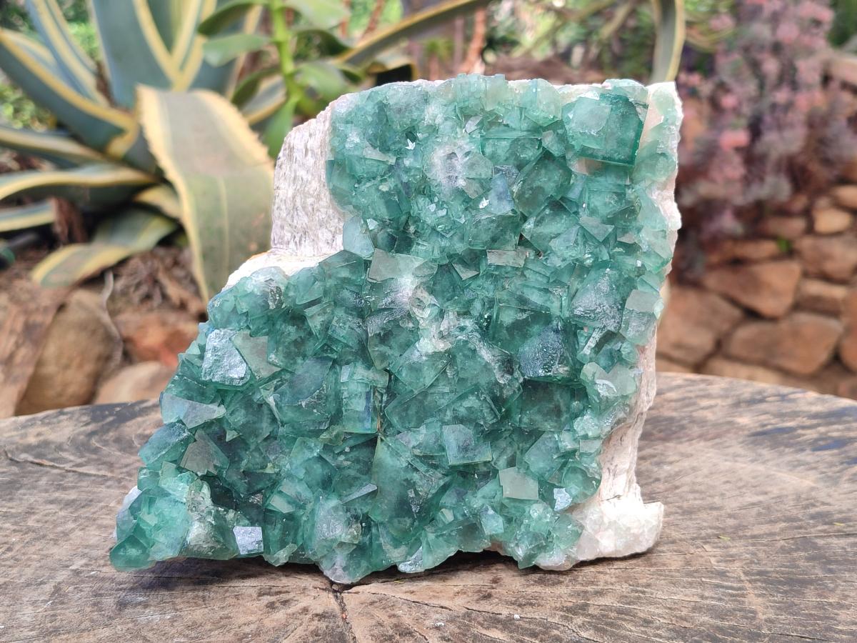 Natural Large Green Cubic Fluorite Specimen x 1 From Mandrosonoro, Madagascar - Toprock Gemstones and Minerals 
