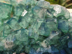 Natural Large Green Cubic Fluorite Specimen x 1 From Mandrosonoro, Madagascar - Toprock Gemstones and Minerals 