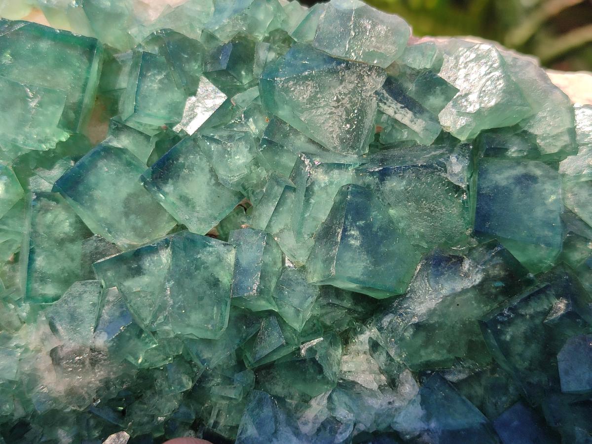 Natural Large Green Cubic Fluorite Specimen x 1 From Mandrosonoro, Madagascar - Toprock Gemstones and Minerals 