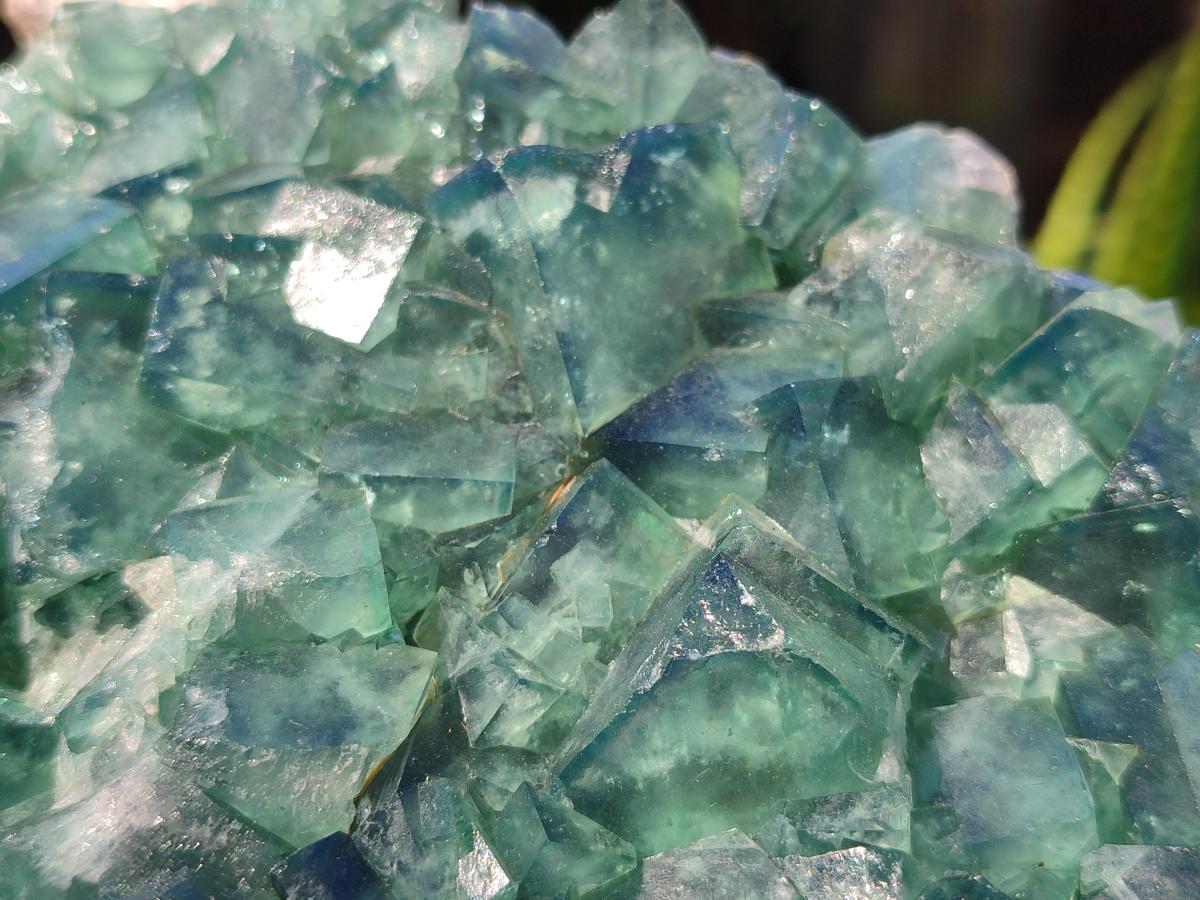 Natural Large Green Cubic Fluorite Specimen x 1 From Mandrosonoro, Madagascar - Toprock Gemstones and Minerals 