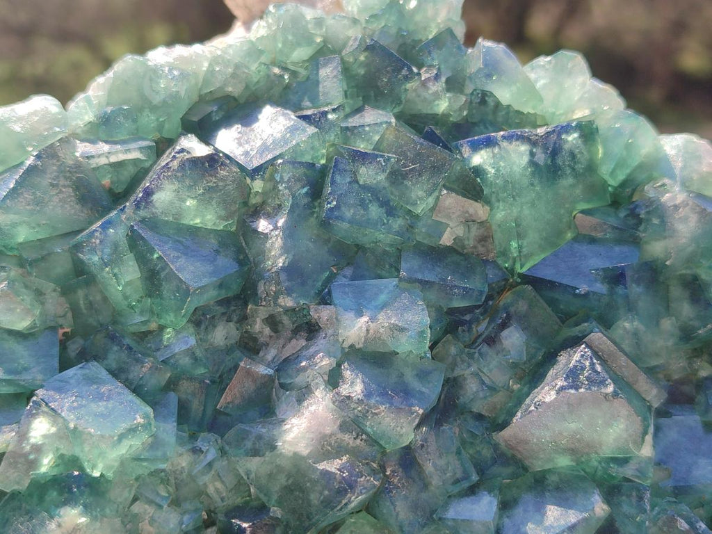 Natural Large Green Cubic Fluorite Specimen x 1 From Mandrosonoro, Madagascar - Toprock Gemstones and Minerals 