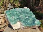 Natural Large Green Cubic Fluorite Specimen x 1 From Mandrosonoro, Madagascar - Toprock Gemstones and Minerals 