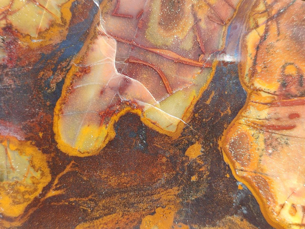 Polished One Side Nguni Jasper Slices x 2 From Northern Cape, South Africa - Toprock Gemstones and Minerals 