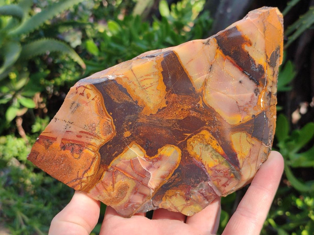Polished One Side Nguni Jasper Slices x 2 From Northern Cape, South Africa - Toprock Gemstones and Minerals 