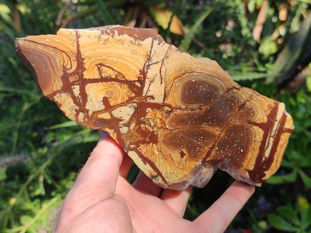 Polished One Side Nguni Jasper Slices x 2 From Northern Cape, South Africa - Toprock Gemstones and Minerals 