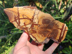 Polished One Side Nguni Jasper Slices x 2 From Northern Cape, South Africa - Toprock Gemstones and Minerals 