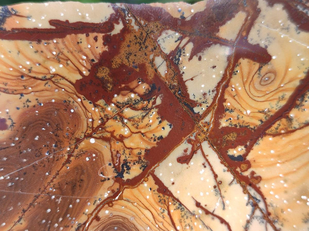 Polished One Side Nguni Jasper Slices x 2 From Northern Cape, South Africa - Toprock Gemstones and Minerals 