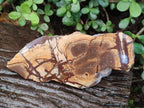 Polished One Side Nguni Jasper Slices x 2 From Northern Cape, South Africa - Toprock Gemstones and Minerals 