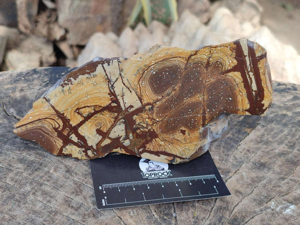 Polished One Side Nguni Jasper Slices x 2 From Northern Cape, South Africa - Toprock Gemstones and Minerals 