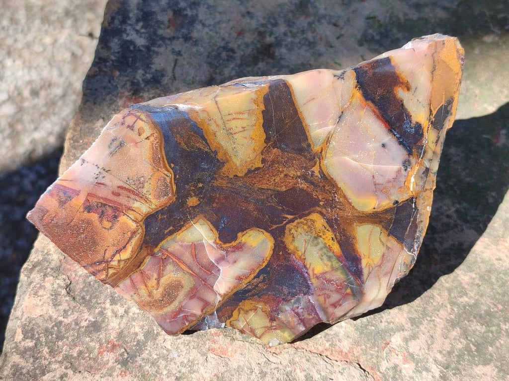 Polished One Side Nguni Jasper Slices x 2 From Northern Cape, South Africa - Toprock Gemstones and Minerals 