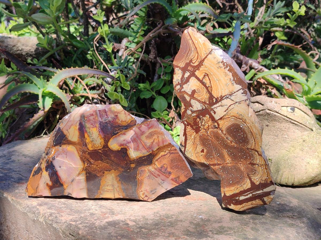 Polished One Side Nguni Jasper Slices x 2 From Northern Cape, South Africa - Toprock Gemstones and Minerals 