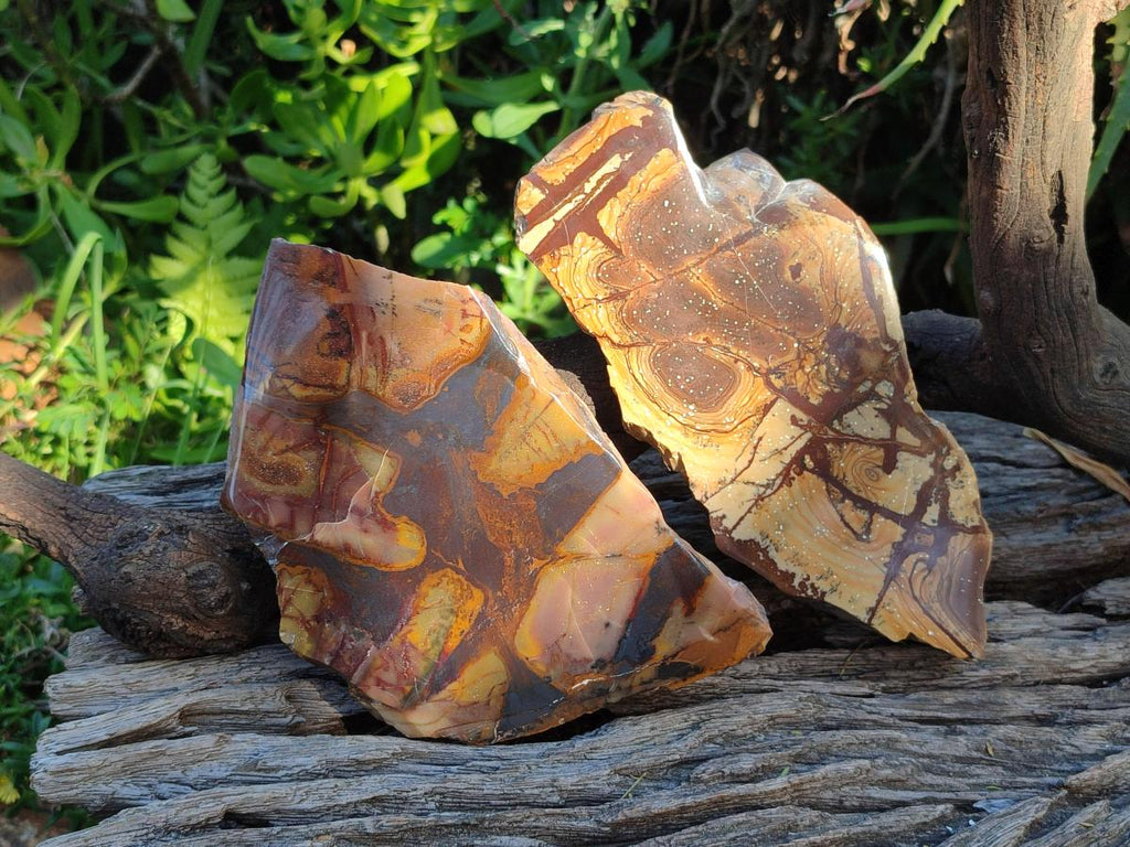 Polished One Side Nguni Jasper Slices x 2 From Northern Cape, South Africa - Toprock Gemstones and Minerals 