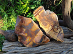 Polished One Side Nguni Jasper Slices x 2 From Northern Cape, South Africa - Toprock Gemstones and Minerals 