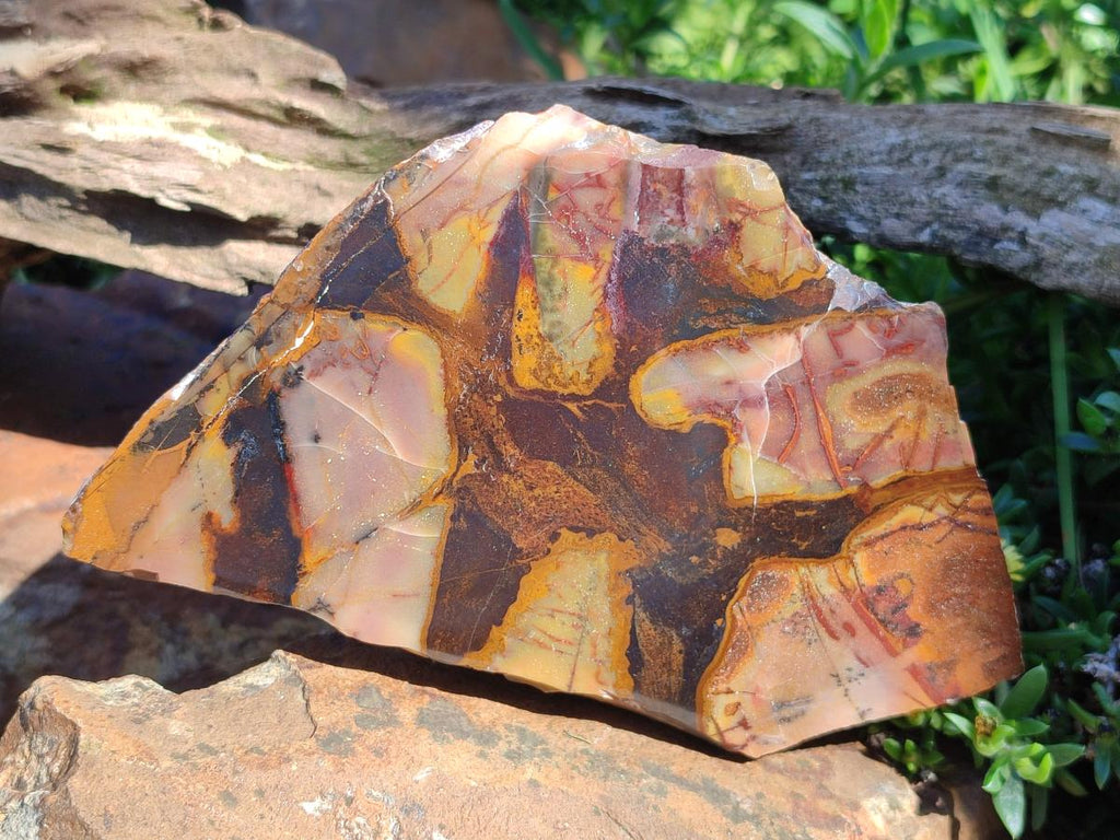 Polished One Side Nguni Jasper Slices x 2 From Northern Cape, South Africa - Toprock Gemstones and Minerals 