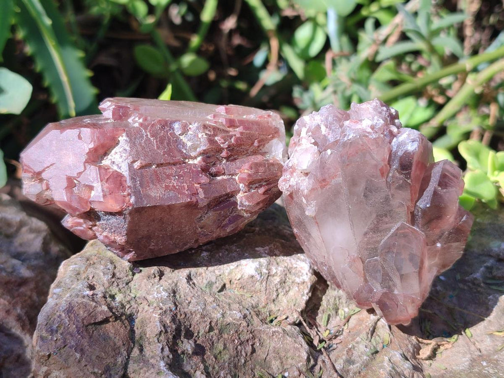 Natural Red Hematoid Quartz Crystals x 24 From Karoi, Zimbabwe - Toprock Gemstones and Minerals 