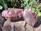 Natural Red Hematoid Quartz Crystals x 24 From Karoi, Zimbabwe - Toprock Gemstones and Minerals 