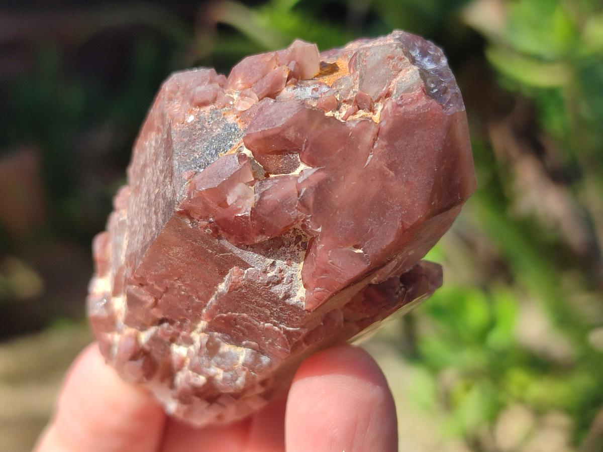 Natural Red Hematoid Quartz Crystals x 24 From Karoi, Zimbabwe - Toprock Gemstones and Minerals 