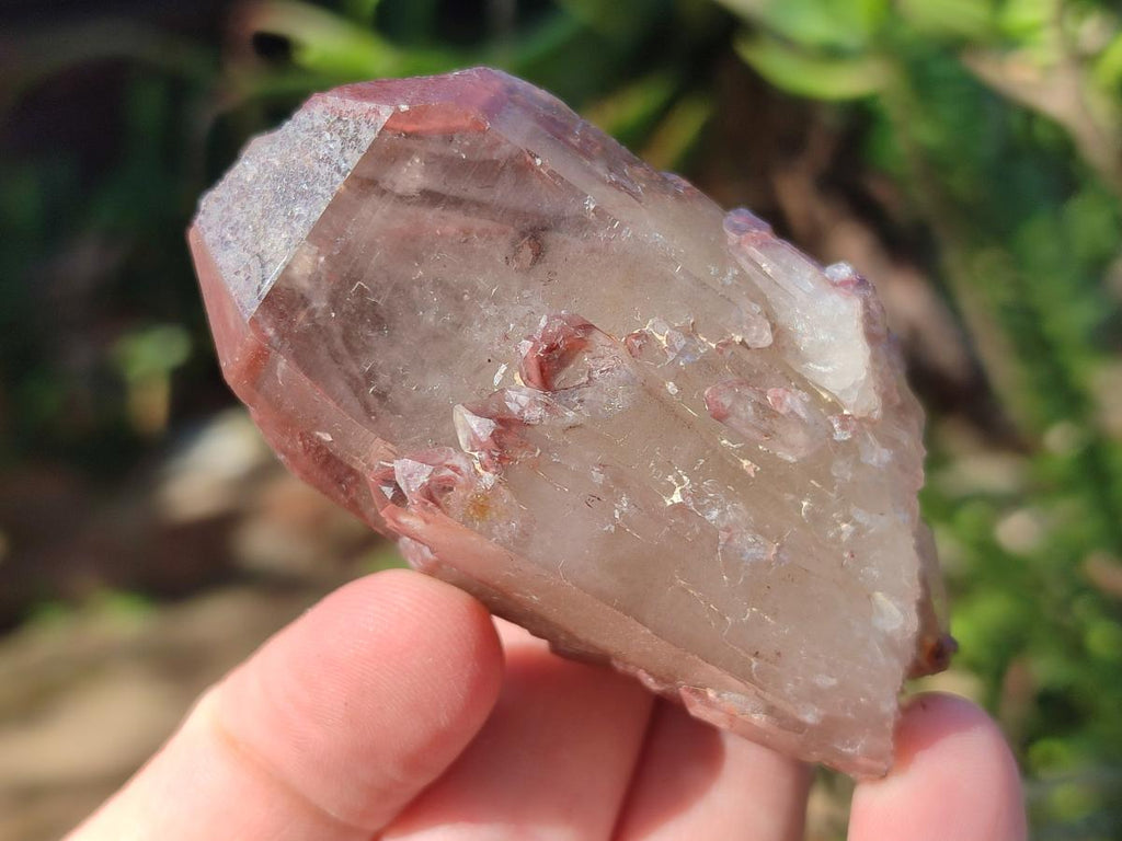 Natural Red Hematoid Quartz Crystals x 24 From Karoi, Zimbabwe - Toprock Gemstones and Minerals 