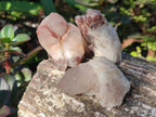 Natural Red Hematoid Quartz Crystals x 24 From Karoi, Zimbabwe - Toprock Gemstones and Minerals 